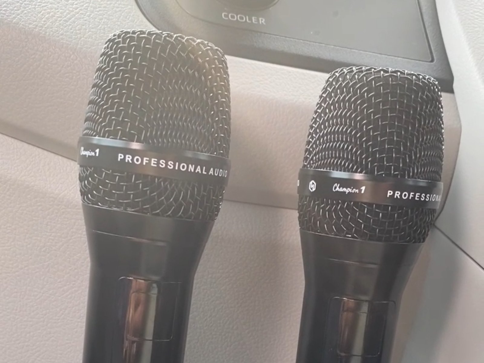 Mic