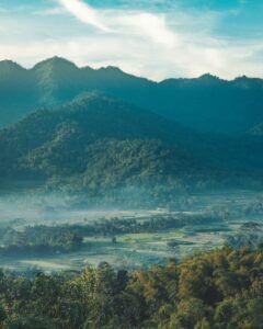 Wisata Puncak 2026 : 12 Destinasi Family-Friendly + Tips Anti-Macet Weekend